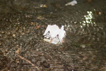 Still Waters Empty House